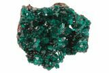 Sparkly, Gemmy Dioptase Crystal Cluster - Namibia #78699-1